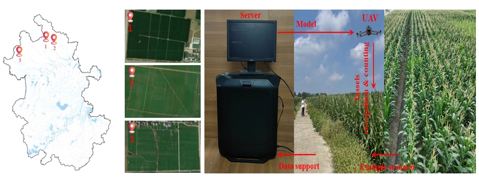 《Smart Agriculture Technology》刊发我院光电感知团队农业信息化技术研究新进展-合肥师范学院